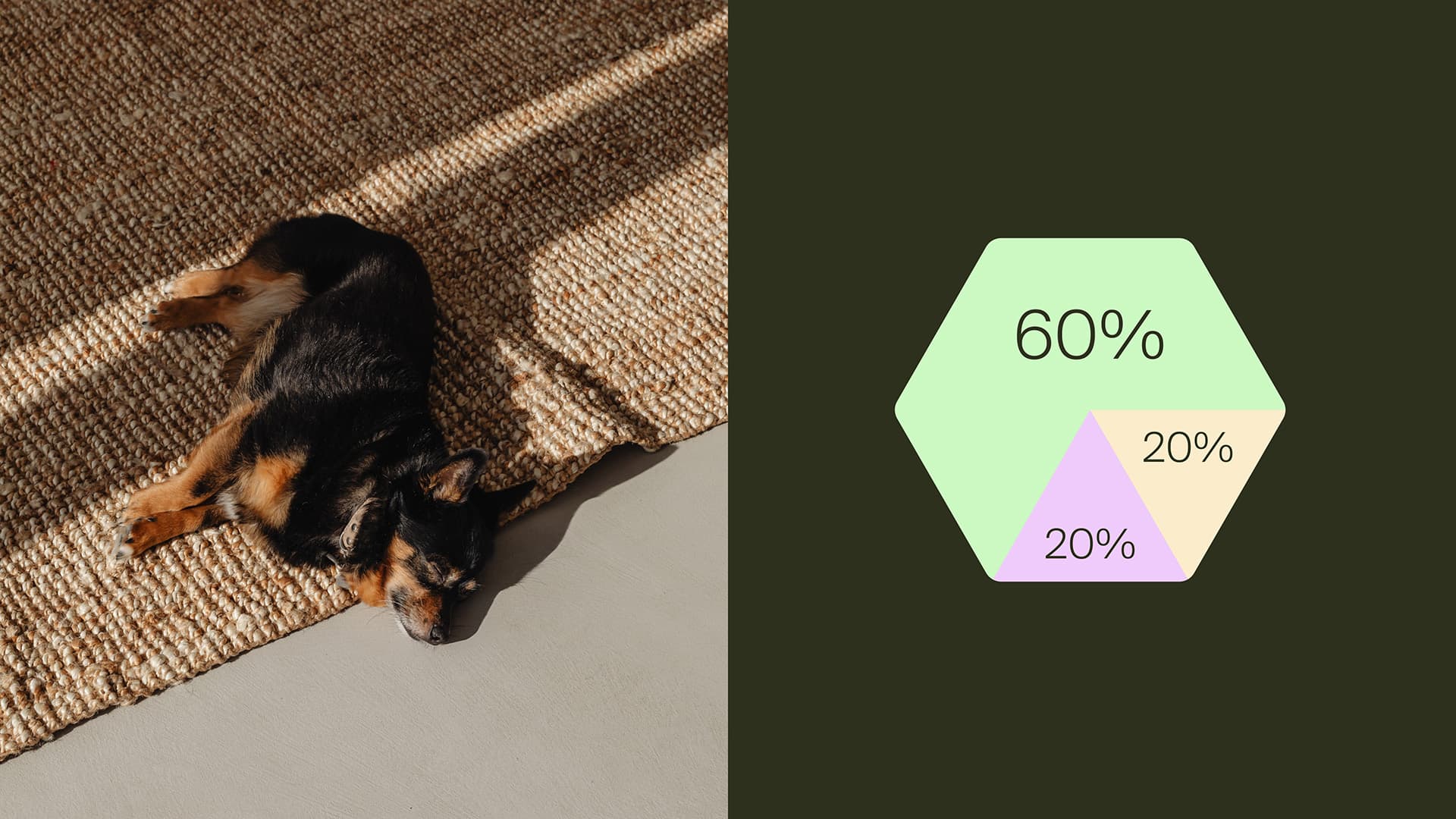 Infografikk i DMP sin nye visuelle identitet 