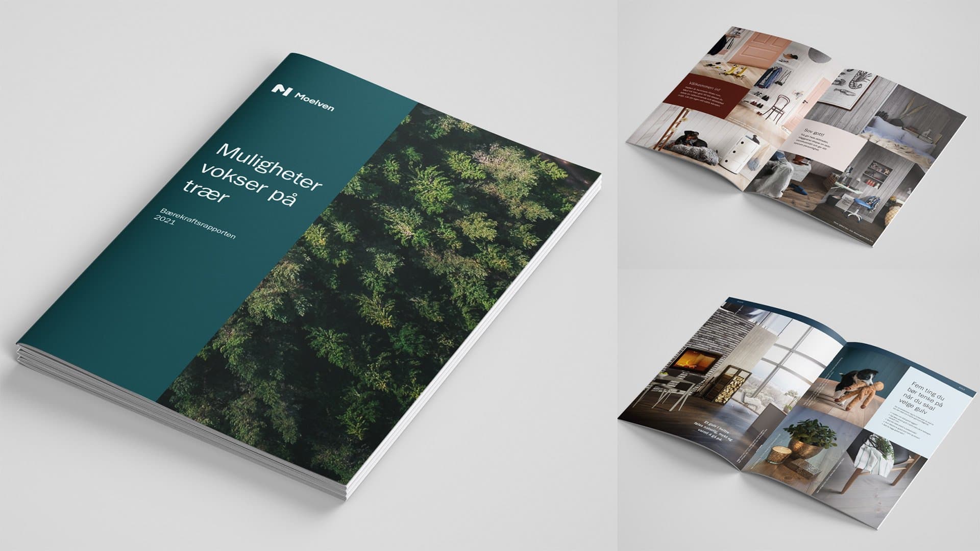 Moelven sin nye identitet på brosjyre